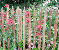 rechts_garten1